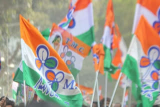 tmc announces star campaigner list for goa assembly polls