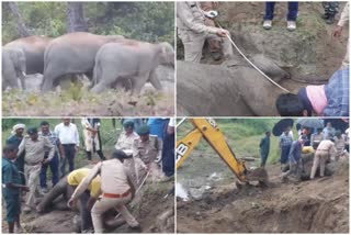 Surajpur became the graveyard of elephants