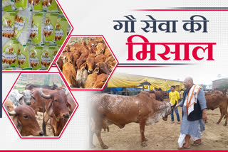 गौ सेवा की मिसाल