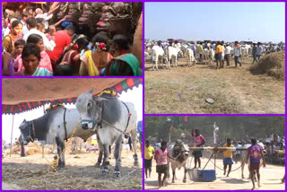 ఎమ్మిగనూరులో రైతుల జాతర