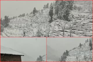 snowfall in chamba