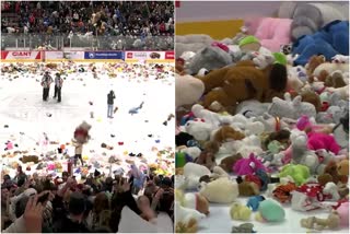 Teddy Bear Toss