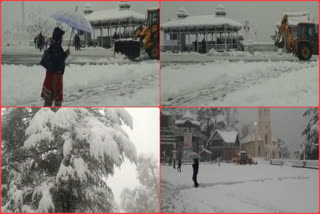 snowfall in shimla