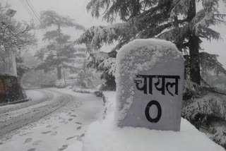 snowfall in Chail