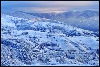 snowfall in sirmaur