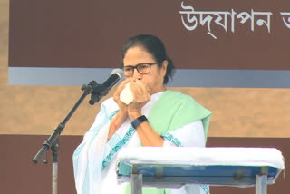 We are bringing Planning Commission in Bengal: Mamata Banerjee on Subhas Chandra Bose's 125th birth anniversary
