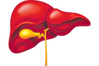 HDL cholesterol Uses