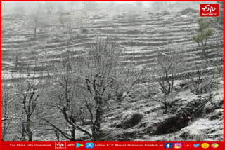 HEAVY SNOWFALL IN CHAMBA