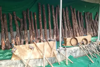 red sanders smugglers in Nellore district