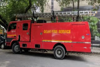 fire-brigade-personnel-saved-life-of-a-bird-trapped-in-a-manja-on-a-tree-in-fateh-nagar