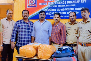 ganja seized from train  palakkad railway station cannabis seized  പാലക്കാട് റെയിൽവേ സ്റ്റേഷനിൽ കഞ്ചാവ് വേട്ട  ട്രെയിനിൽ കടത്താൻ ശ്രമിച്ച കഞ്ചാവ് പിടികൂടി