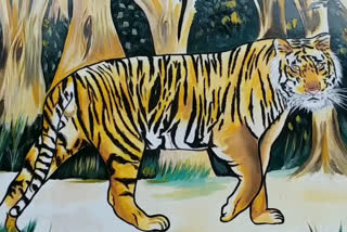 counting of tigers in palamu