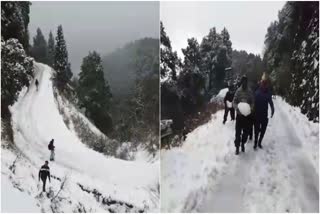 snow fall in nainital