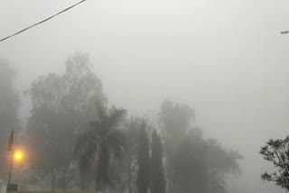 fog in korba