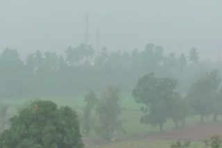 Unseasonal Rains in Surat : વાડી ગામે ભર શિયાળે વરસ્યો કમોસમી વરસાદ