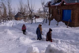 Doda in Jammu and Kashmir receives fresh snowfall, snowfall in Kashmir, snowfall videos India, India weather change
