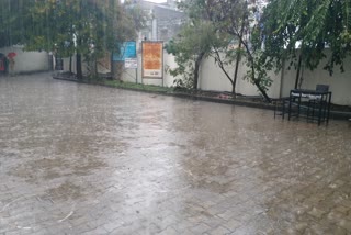 rain in haldwani
