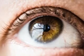 જો તમે સમયસર આંખની સારવાર નથી લેતા તો તમે થઇ શકો છો દ્રષ્ટિહિન, વાંચો પૂરો અહેવાલ
