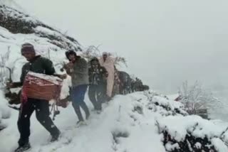 Himachal Pradesh snowfall wedding, Himachal cold weather,  snowfall video India