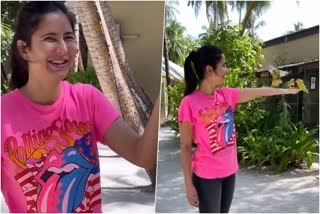 Katrina Kaif feeds birds in Maldives  Katrina Kaif bird feeding video  Katrina Kaif Maldives pictures  Katrina Kaif upcoming movies  Katrina Kaif makes new friends in Maldives  കുഞ്ഞ്‌ അതിഥികള്‍ക്ക്‌ ഭക്ഷണം നല്‍കി കത്രീന