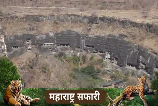 ajanta caves