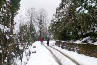 snowfall in chopta