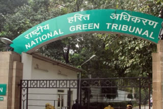 NGT directs to remove encroachment from green belt of Sector 48 of Noida