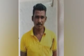 guest worker found killed in munnar  guest worker died  ഇതര സംസ്ഥാന തൊഴിലാളി കൊല്ലപ്പെട്ട നിലയിൽ  ഇതര സംസ്ഥാന തൊഴിലാളി മരിച്ചു