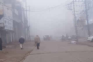 Cold And Fog In Haryana