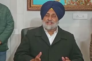 Shiromani Akali Dal, Sukhbir Badal, Opposition Party, Allegation On Congress