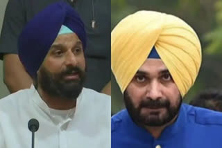 Majithia to contest against Sidhu from Amritsar East
