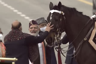 Virat, elite horse of president's bodyguard, retires