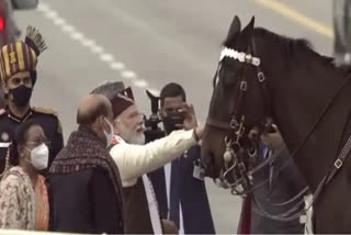 President Bodyguard horse, Bodyguard horse Virat, Virat retires From Services