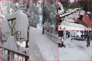 snowfall in Dalhousie