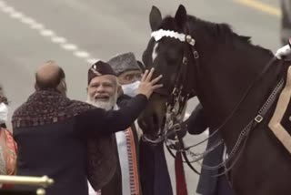 president bodyguard's horse retires on 73rd republic day