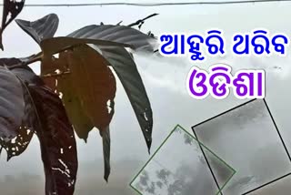 ଆସନ୍ତା ୫ ଦିନ ଯାଏଁ ପ୍ରବଳ ଜାଡରେ ଥରିବ ଓଡିଶା