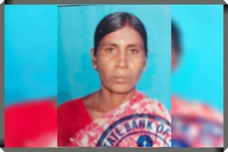 Son Killed Mother in Sangareddy