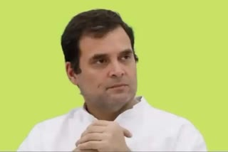 पूर्व कांग्रेस अध्यक्ष राहुल गांधी