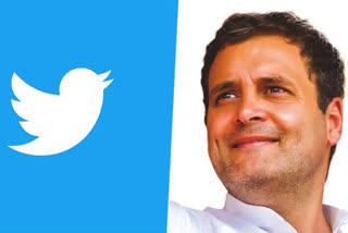 rahul gandhi writes letter to twitter ceo about decreasing follower