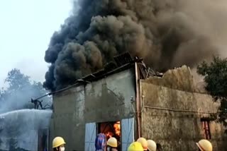 Fire Breaks out