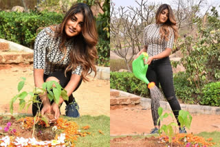 Khiladi heroine Dimple Hayathi participated in green india challenge at hyderabad