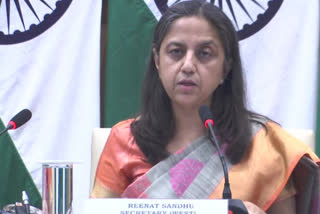 Reenat Sandhu Secretary West Ministry of External Affairs