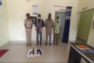 Bird Hunter Arrest: ୭ ମୃତ ପକ୍ଷୀ ସହ ଡଙ୍ଗା ଜବତ କଲା ବନ୍ୟପ୍ରାଣୀ ବିଭାଗ