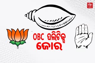 OBC Politics