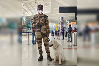 A new dog has been added to the Dog Squad at Mangalore Airport