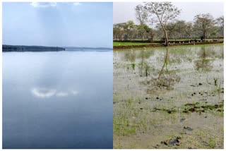 water from reservoirs for Rabi crop in Balod