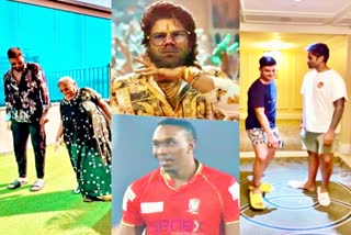 Pushpa  Viral news  Allu Arjun  trending Video  पुष्पा का बुखार  सुपर स्टार अल्लू अर्जुन  पुष्पा  Dwayne Bravo  Pushpa Walk Video  पुष्पा का खुमार  क्रिकेटर्स  खेल समाचार  Sports News