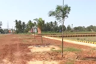 Unauthorised layouts in Nellore district