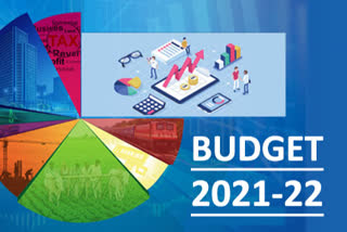 Union Government Budget 2021 22 and Agriculture Sector of Assam