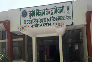 Pradhan Mantri Matsya Sampada Yojana in Bhiwani